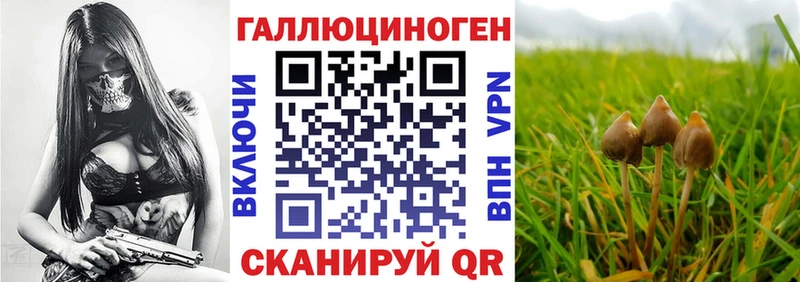 KRAKEN зеркало  Похвистнево  Галлюциногенные грибы мухоморы 