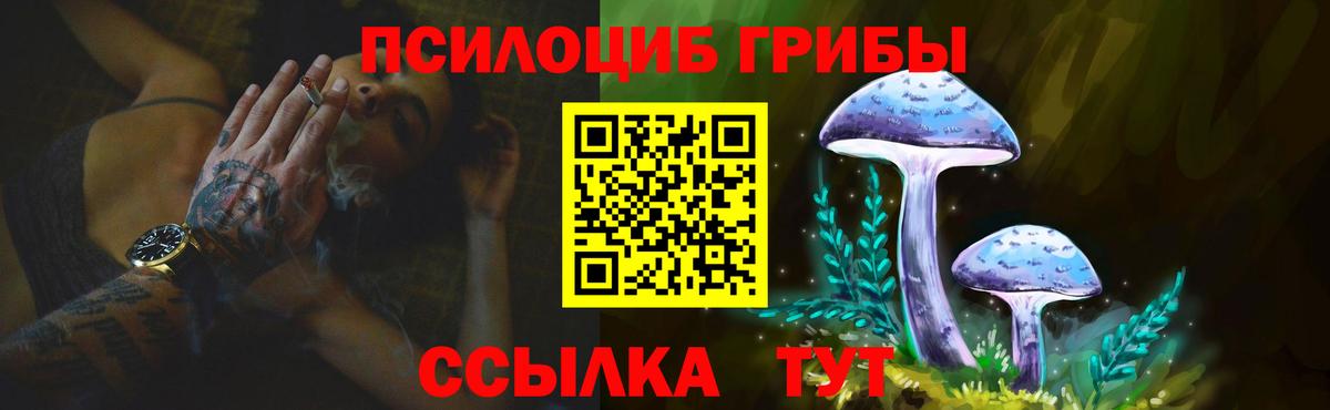 Галлюциногенные грибы Cubensis  Вход с VPN  Галлюциногенные грибы прущие грибы  Похвистнево 