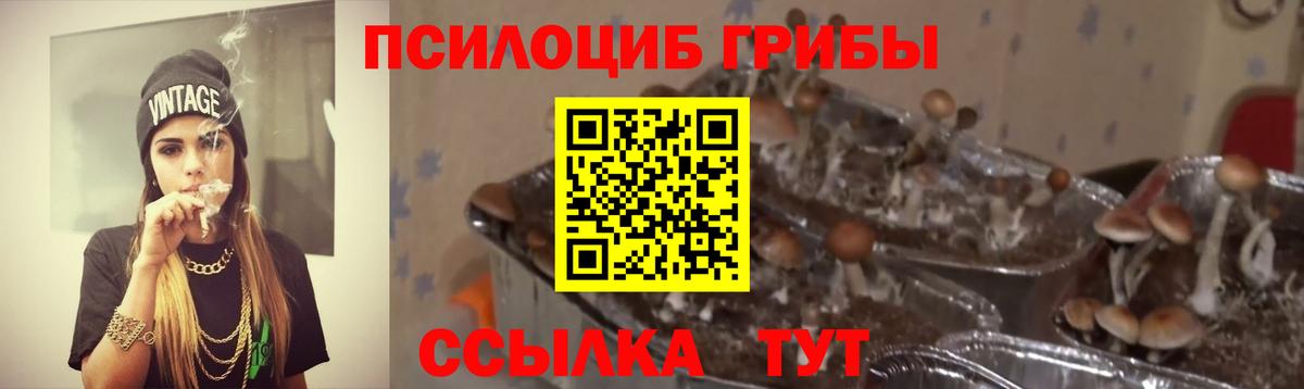 Псилоцибиновые грибы прущие грибы Похвистнево
